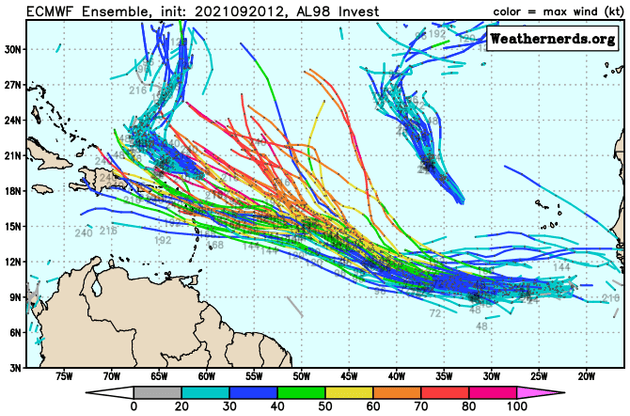 ECMWF Ensemble